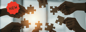 Nieuw DNA-netwerk voor verenigingsmanagers met MT-rol